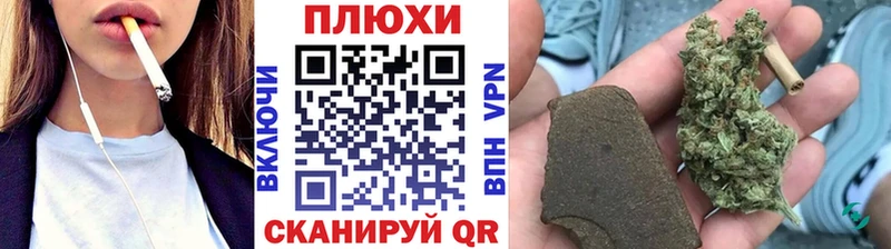 ГАШ Premium Калининец