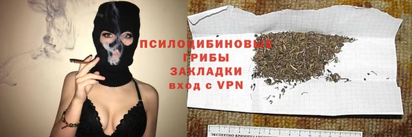 ПСИЛОЦИБИНОВЫЕ ГРИБЫ Баксан