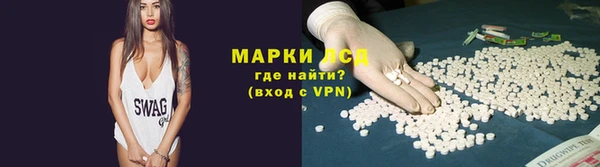 ПСИЛОЦИБИНОВЫЕ ГРИБЫ Баксан
