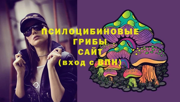 ПСИЛОЦИБИНОВЫЕ ГРИБЫ Баксан