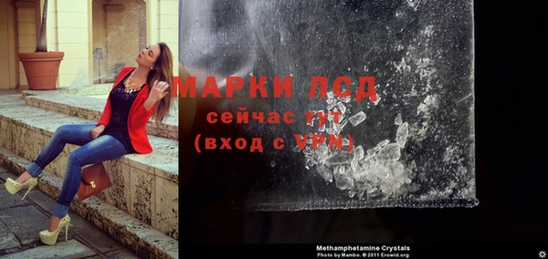 ПСИЛОЦИБИНОВЫЕ ГРИБЫ Баксан