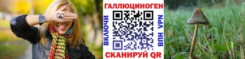 Галлюциногенные грибы Magic Shrooms  блэк спрут ONION  Калининец 